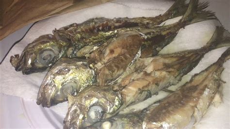 akule fish in english|Google Translate.